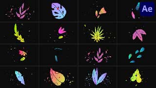 Flowers Pack for After Effects-48823263