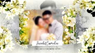 Wedding Slideshow Floral Wedding Photos-49277342
