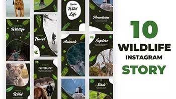 Wildlife Instagram Stories Pack-35473796
