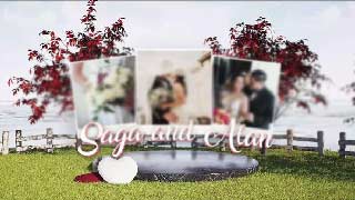 Wedding Slideshow-50115094