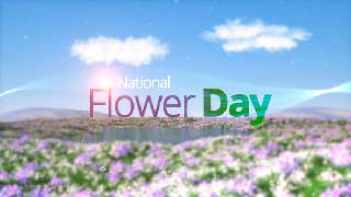 Flower Day Opener-50212648