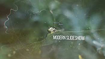 Modern Slideshow-20192169