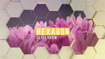 Hexagon Slideshow-23653277