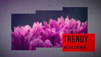 Trendy Media Opener-23800921