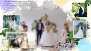 Ink Wedding Slideshow-50512353