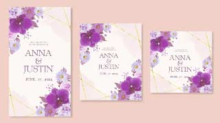 Wedding Invitation Intro-50725622