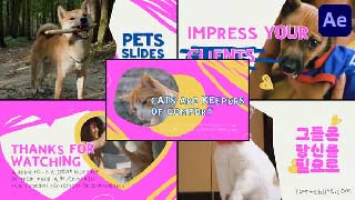 Slides Pets After Effects-50806866