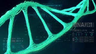 HUD Medical DNA2-53348925
