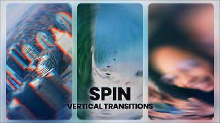 Vertical Spin Transitions-53419839