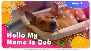 Adopt Pets Mercy Slideshow-53448521