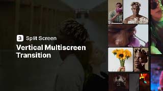 Vertical Multiscreen Transition-3 Split Screen-53507291