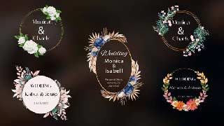 Romantic Golden Floral Titles-39623067