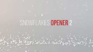 Snowflakes Opener 2-19119865
