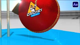 Cricket Bumper-54259966