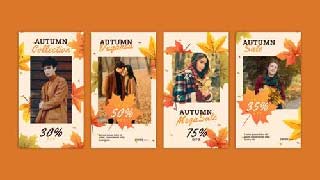 Autumn Instagram Story-54348327