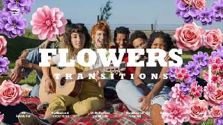 Flowers Transitions-54461973