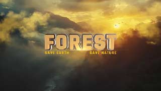 The Forest I Title Opener-54550800
