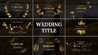 Wedding Title-54669612