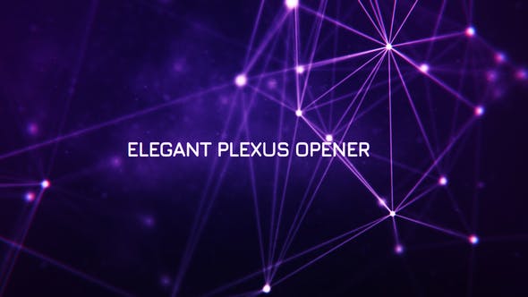 Elegant Plexus