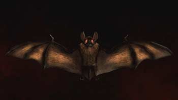 Halloween Bat Logo-24867159