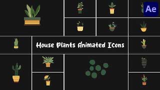 House Plants Animated Icons for After Effects-55708228