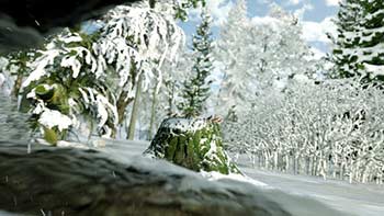 Winter Forest Nature Logo-29985870