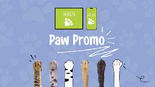Paw Promo-56228324