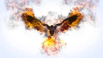 Flaming Eagle Logo Reveal-31914514