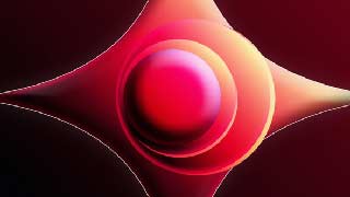 Epic Neon Gradient Logo Reveal-56438367