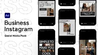 Business Instagram Stories