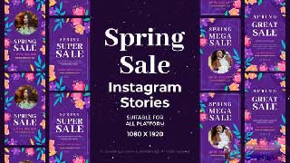 Spring Sale Instagram Stories-57056684