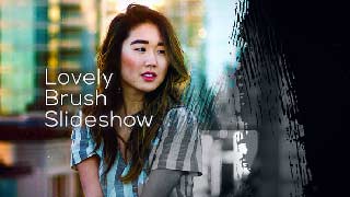 Lovely Brush Slideshow-57112238