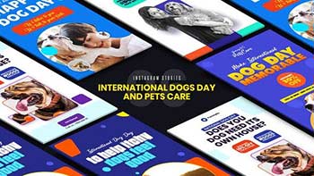 International Dogs Day-33285007