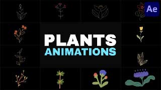 Nature Plants Kids Drawings Animation for After Effects-57284758