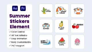 Summer Stickers Element-57949104
