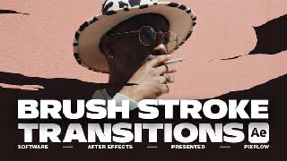 Brush Stroke Transitions V 1 For After Effects-58274278