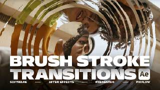 Brush Stroke Transitions V 2 For After Effects-58310084
