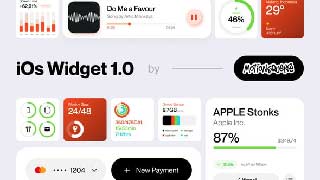 iOS Widget 1 0