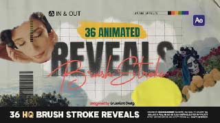 Brush Stroke Reveals-58447146