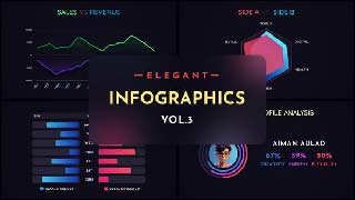 Elegant Infographics Pack Vol 3-58607307