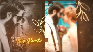 Golden Wedding Slideshow-59040628