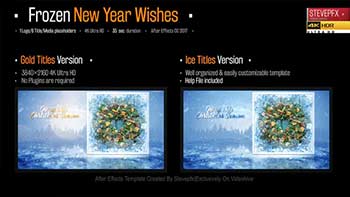 Frozen New Year Wishes-29731669