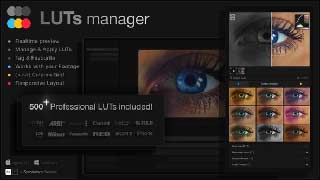 LUTs Manager Real-Time Bulk Previews Tool 500 LUTs for Effortless Professional Color Grading-55741724