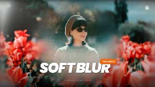 Soft Blur Transitions-61544842