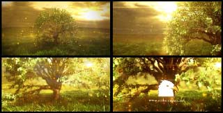Nature Logo Reveal-12709139