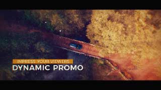 Dynamic Promo-19740415