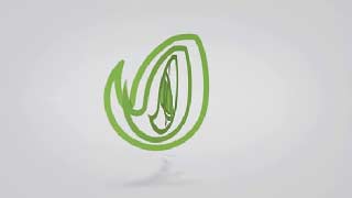 Clean Short Logo Ident 1-11668707