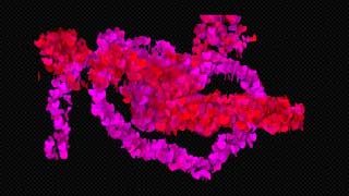 Hearts Elements Creator-43466816