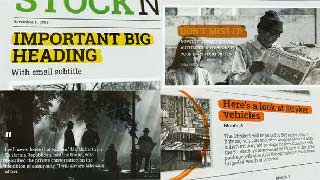 Newspaper Investigation Project-43863203