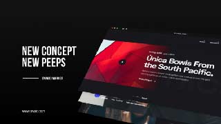 Fast Website Promo-25976250